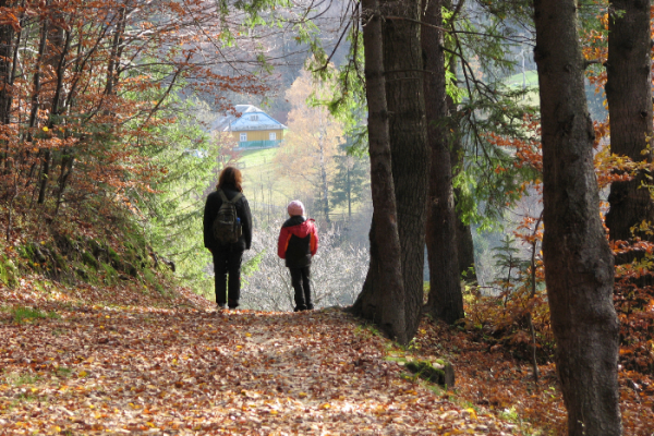 Traumabehandling av barn